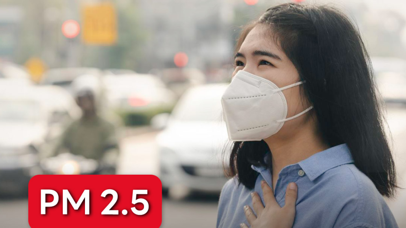 PM-2.5-ภัยร้าย-ทำลายปอด