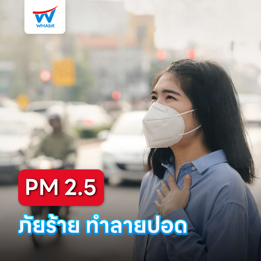 PM-2.5-ภัยร้าย-ทำลายปอด